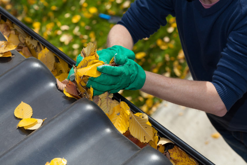 Things to Know Before Hiring a Gutter Cleaner