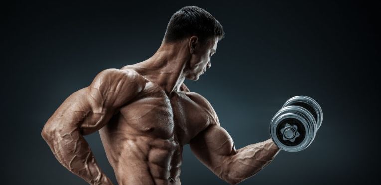 Everything You Need To Know About SARMs Buy