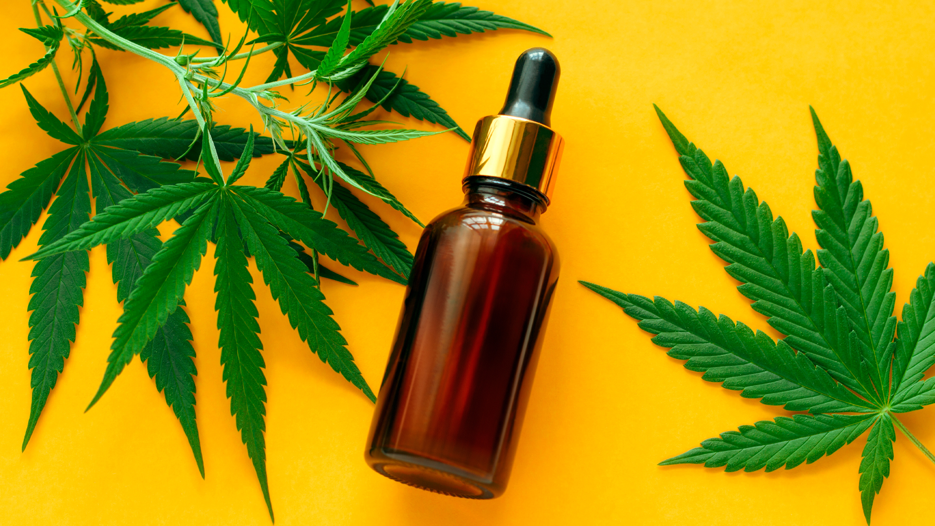 Want To Consume CBD? Access The Different Types Available
